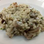 Hotel Lungomare Cattolica