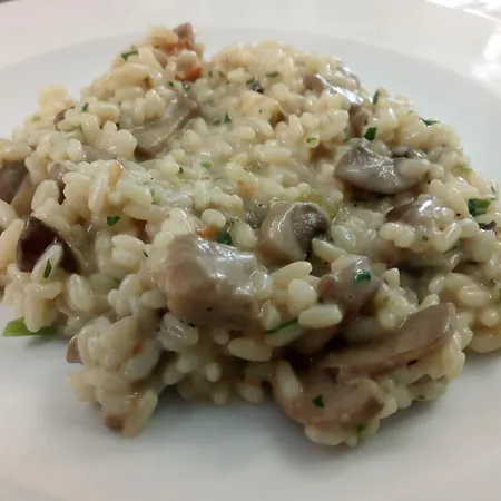 Hotel Lungomare Cattolica