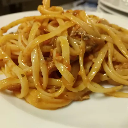 酒店 Lungomare 卡托利卡