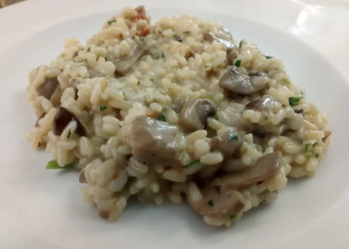 فندق Lungomare كاتوليكا